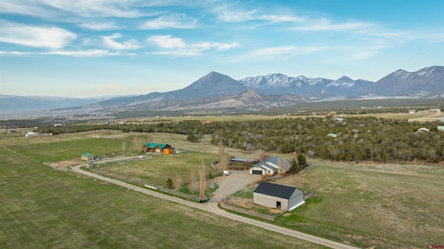 37835 Fruitland Mesa Dr, Crawford, CO 81415 - drone / aerial view with a mountain view and a rural view