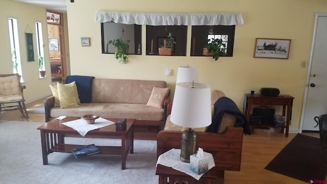 living area with wood finished floors