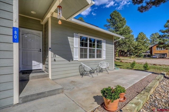 80 Cleek Ct, Pagosa Springs, CO 81147 - entrance to property with a patio area