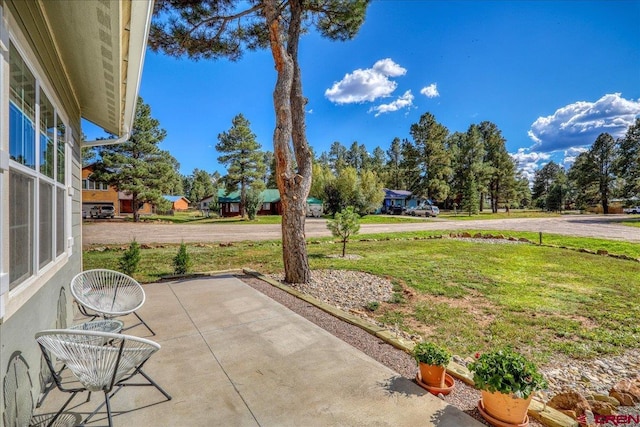 80 Cleek Ct, Pagosa Springs, CO 81147 - view of patio / terrace