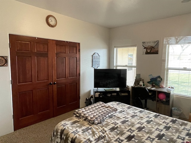 carpeted bedroom with multiple windows