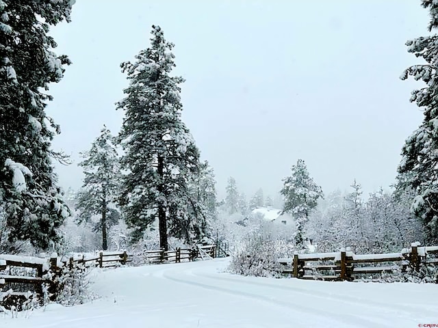 1051 Needles View Pl, Pagosa Springs, CO 81147 - view of community with fence