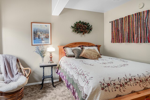 85 Dayspring Pl, Pagosa Springs, CO 81147 - carpeted bedroom with baseboards