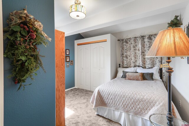 85 Dayspring Pl, Pagosa Springs, CO 81147 - bedroom with a closet and carpet floors