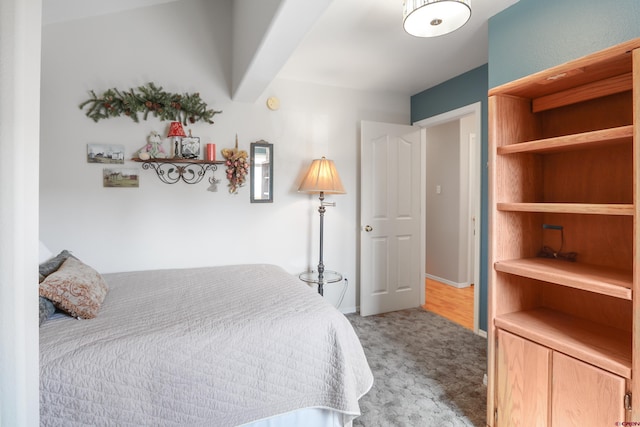 85 Dayspring Pl, Pagosa Springs, CO 81147 - view of carpeted bedroom