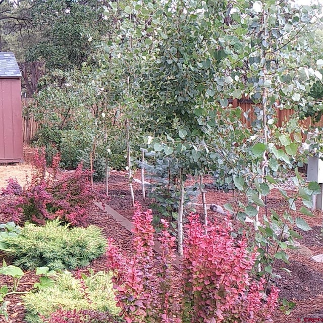 85 Dayspring Pl, Pagosa Springs, CO 81147 - view of yard with an outdoor structure, fence, and a shed