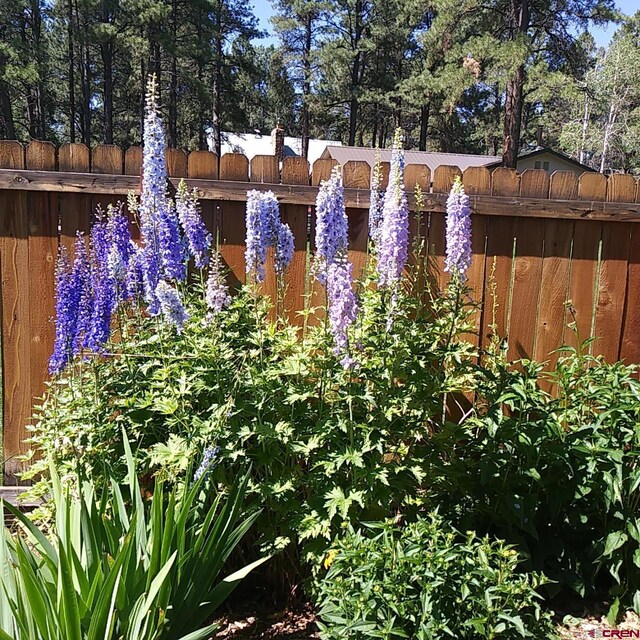 85 Dayspring Pl, Pagosa Springs, CO 81147 - view of yard with fence
