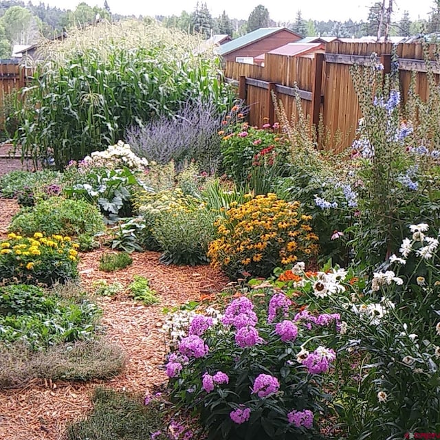85 Dayspring Pl, Pagosa Springs, CO 81147 - view of yard featuring fence