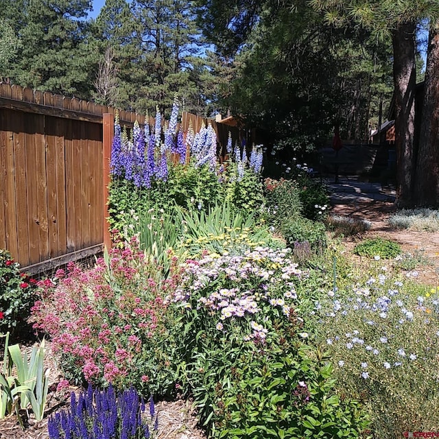 85 Dayspring Pl, Pagosa Springs, CO 81147 - view of yard with fence