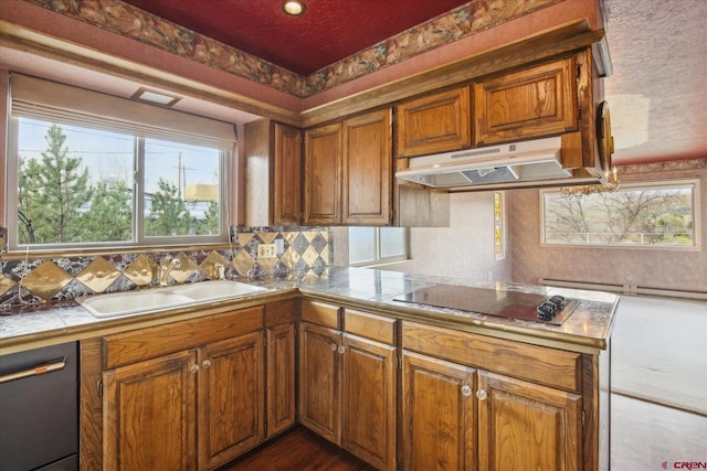kitchen with black electric cooktop, a sink, tasteful backsplash, dishwashing machine, and under cabinet range hood