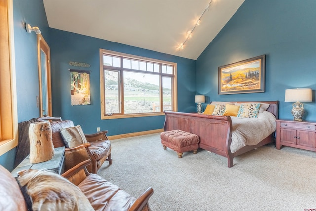 138 Silver Sage Dr, Crested Butte, CO 81224 - bedroom featuring track lighting, carpet floors, vaulted ceiling, and baseboards