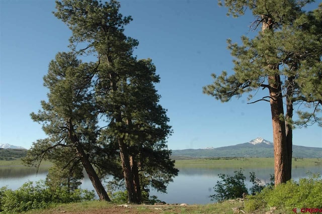 TBD Gurley Lake, Norwood, CO 81423