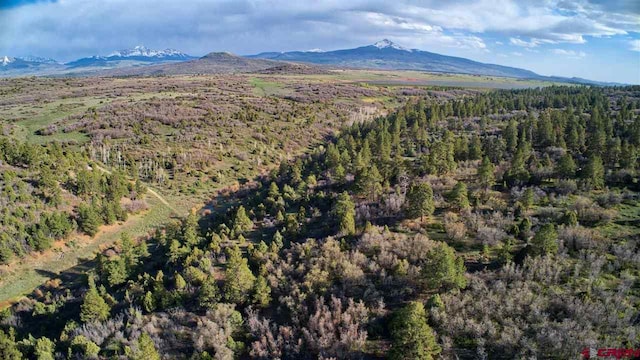 TBD Gurley Lake, Norwood, CO 81423