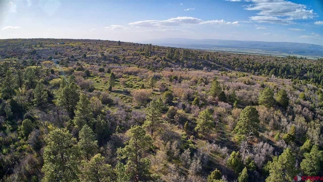 TBD Gurley Lake, Norwood, CO 81423