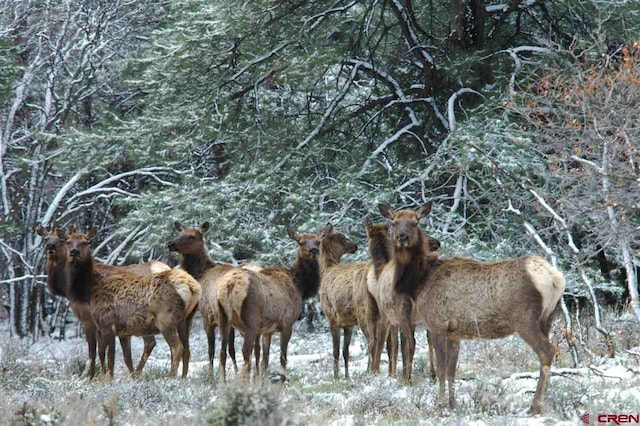 TBD Gurley Lake, Norwood, CO 81423
