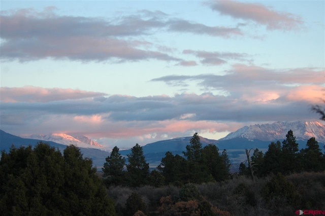 TBD Gurley Lake, Norwood, CO 81423