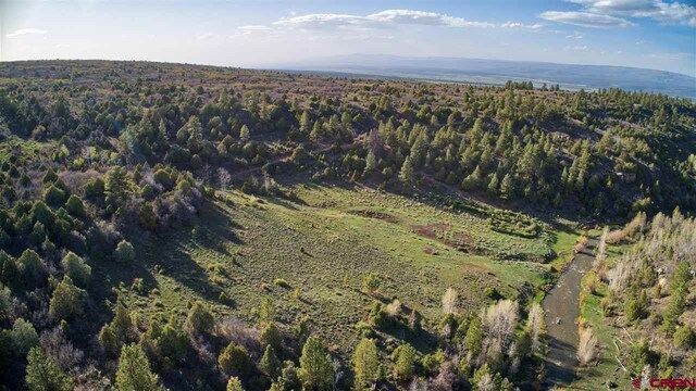 TBD Gurley Lake, Norwood, CO 81423