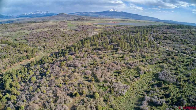 TBD Gurley Lake, Norwood, CO 81423