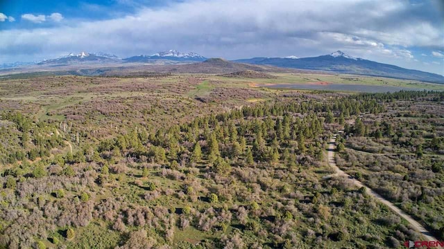 TBD Gurley Lake, Norwood, CO 81423