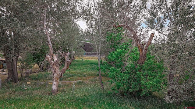 300 E Virginia Ave, La Veta, CO 81055