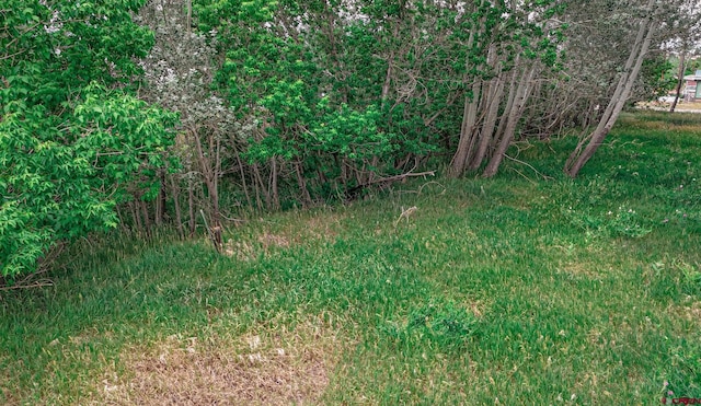 300 E Virginia Ave, La Veta, CO 81055