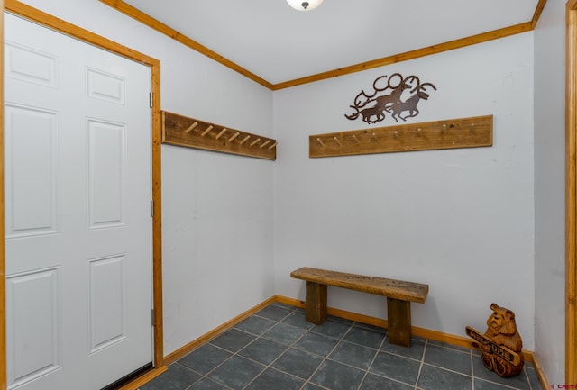 mudroom with crown molding, baseboards, and dark tile patterned flooring