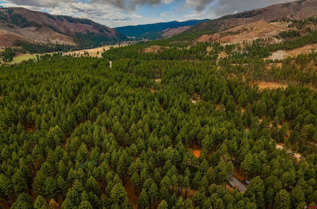property view of mountains with a forest view