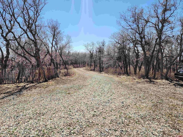 25859 Horse Creek Dr, Cedaredge, CO 81413