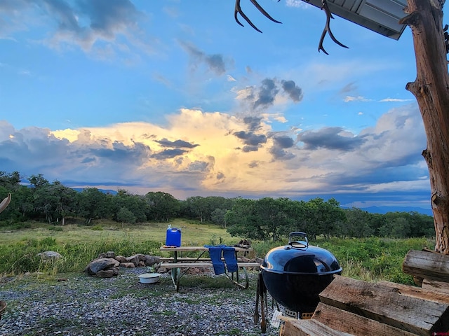 25859 Horse Creek Dr, Cedaredge, CO 81413