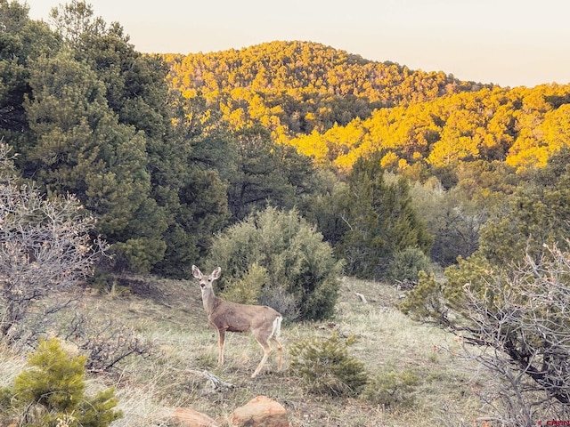 LOT33 Spanish Peaks Dr, Walsenburg, CO 81089