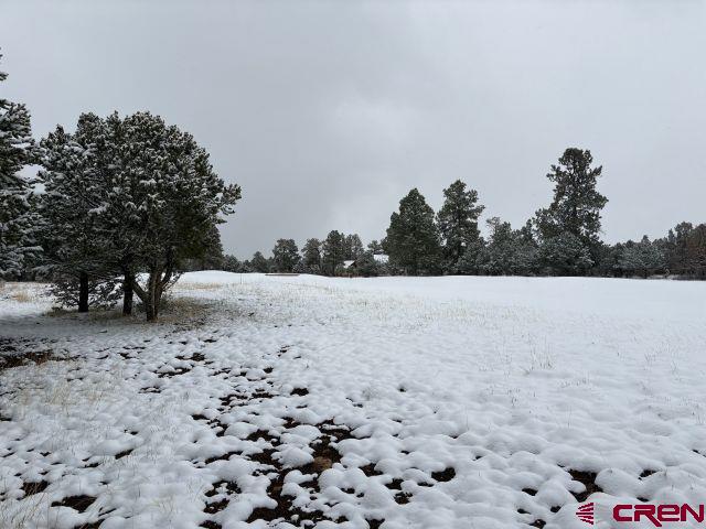 1695 Marmot Dr, Ridgway, CO 81432