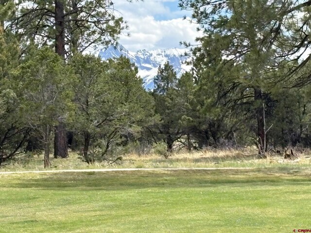 1695 Marmot Dr, Ridgway, CO 81432
