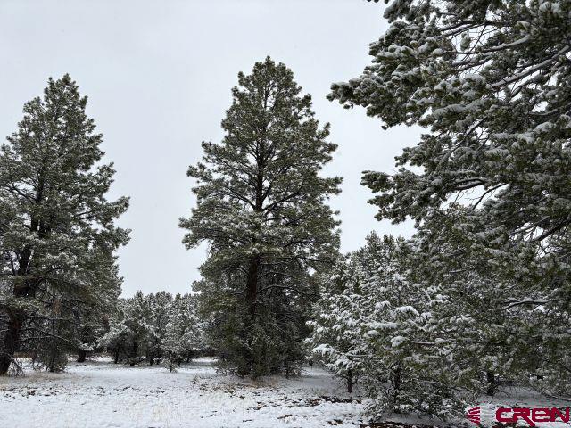 1695 Marmot Dr, Ridgway, CO 81432