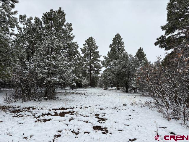 1695 Marmot Dr, Ridgway, CO 81432
