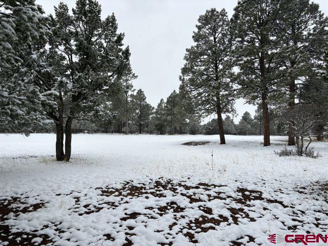 1695 Marmot Dr, Ridgway, CO 81432