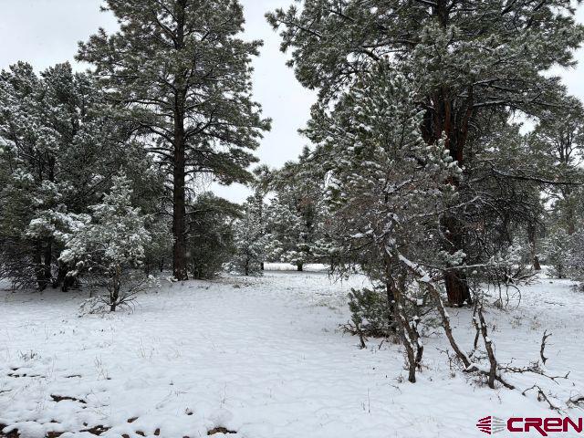 1695 Marmot Dr, Ridgway, CO 81432