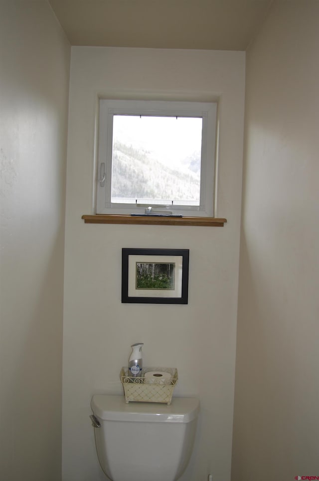 1125 Cement St, Silverton, CO 81433 - bathroom with toilet