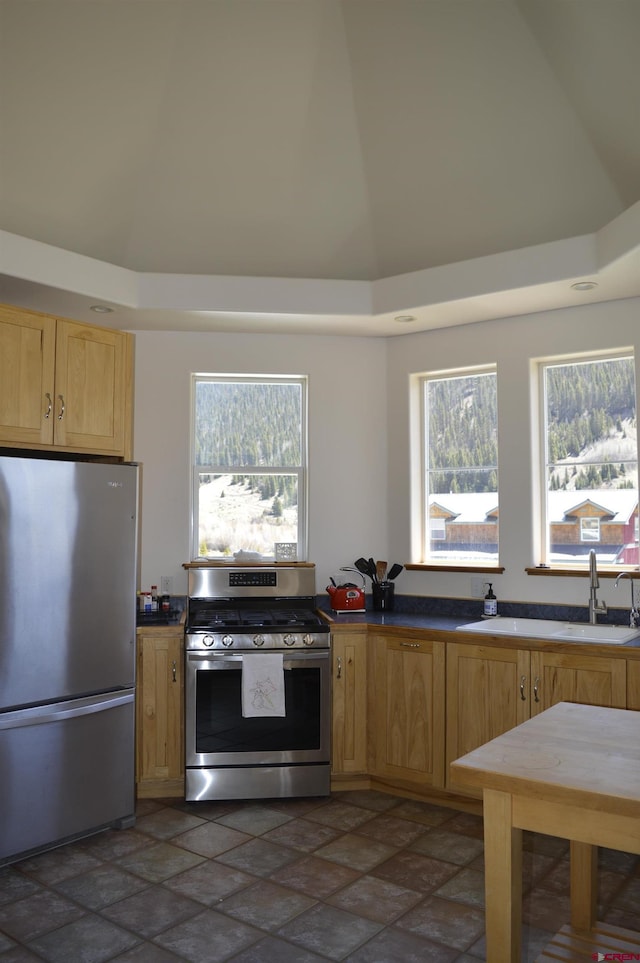 1125 Cement St, Silverton, CO 81433 - kitchen with appliances with stainless steel finishes, light brown cabinets, dark stone finish floors, plenty of natural light, and high vaulted ceiling