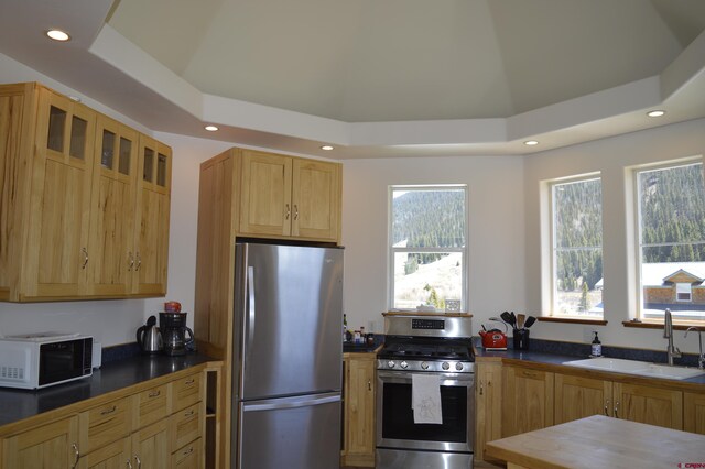 1125 Cement St, Silverton, CO 81433