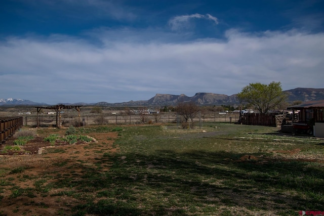 view of yard with a rural view, a mountain view, and a fenced backyard