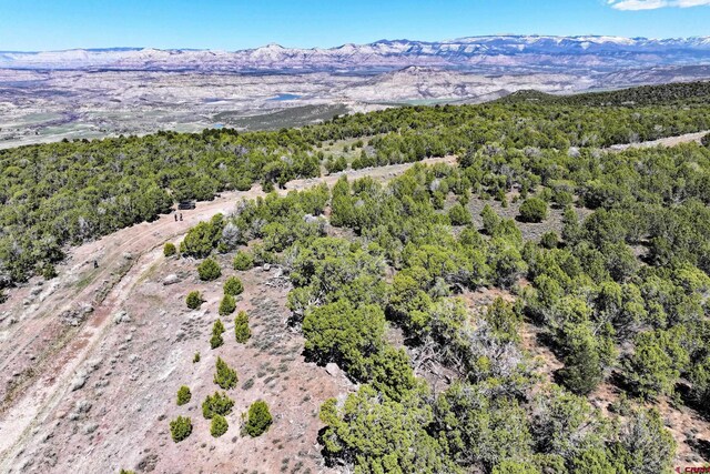 TBD Tbd, Mesa, CO 81643