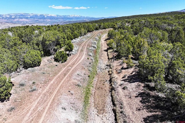 TBD Tbd, Mesa, CO 81643