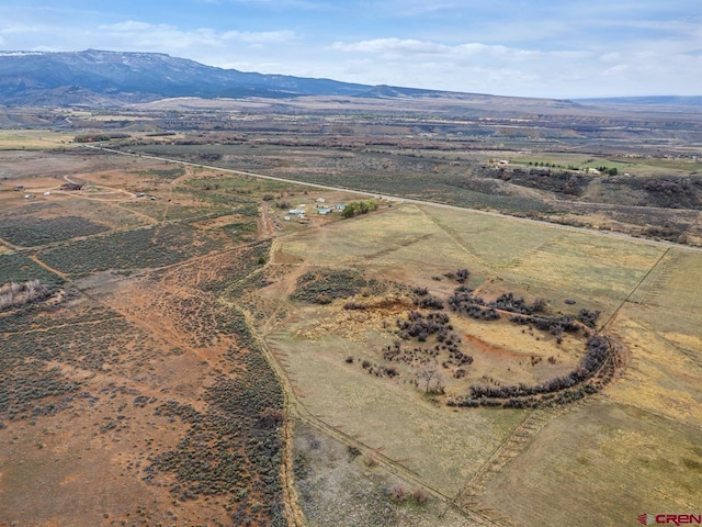 birds eye view of property with a rural view and a mountain view