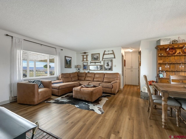 living room with wood finished floors and a textured ceiling