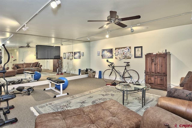 3575 E Rd, Palisade, CO 81526 - living room with track lighting, carpet flooring, and ceiling fan