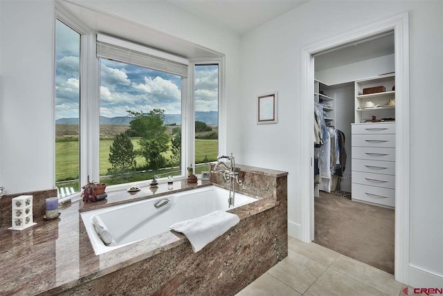 3575 E Rd, Palisade, CO 81526 - bathroom with a walk in closet, a bath, plenty of natural light, and tile patterned flooring