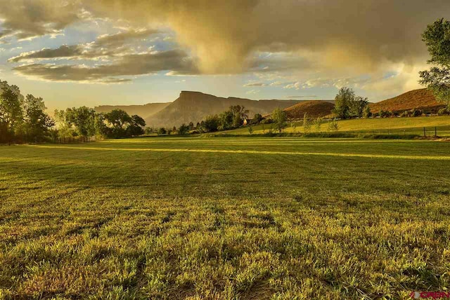 3575 E Rd, Palisade, CO 81526 - view of property's community featuring a mountain view and a yard