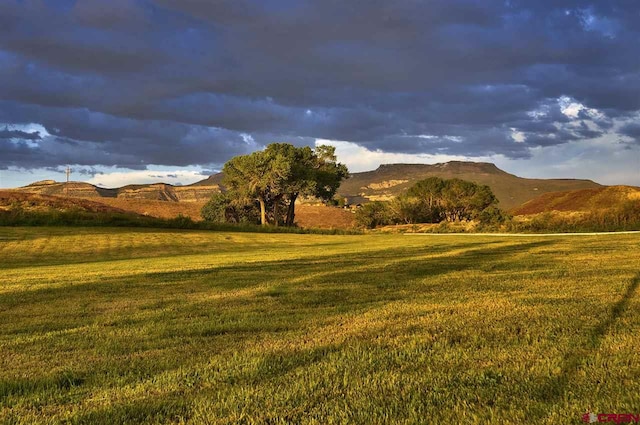 3575 E Rd, Palisade, CO 81526 - view of mountain feature
