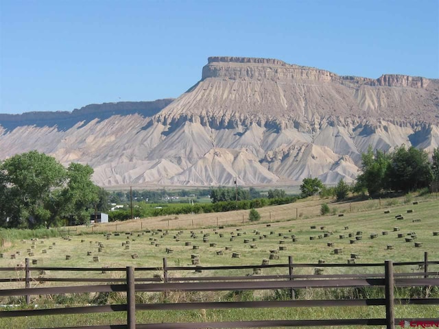 3575 E Rd, Palisade, CO 81526 - mountain view with a rural view