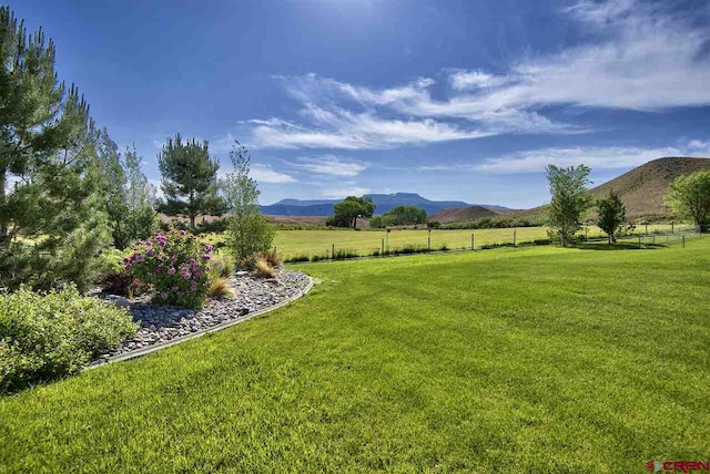3575 E Rd, Palisade, CO 81526 - view of yard featuring fence and a mountain view